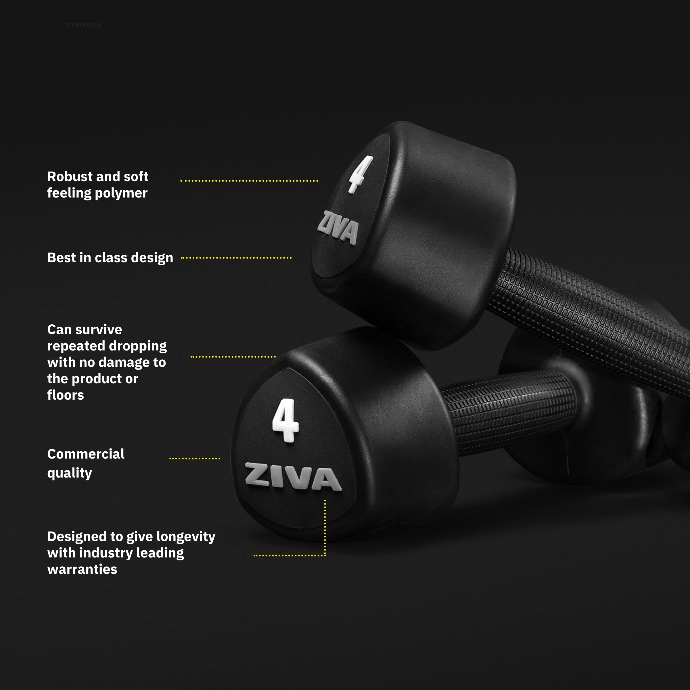ZVO Urethane Tribell Studio Dumbbells